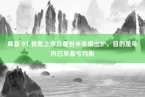 麻豆 91 极氪上市后首份半年报出炉，目的是年内已毕盈亏均衡