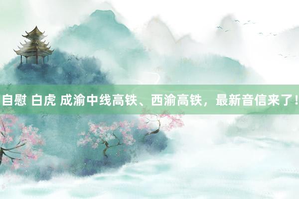 自慰 白虎 成渝中线高铁、西渝高铁，最新音信来了！