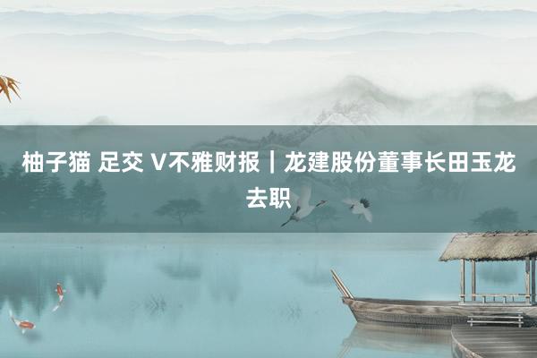 柚子猫 足交 V不雅财报｜龙建股份董事长田玉龙去职