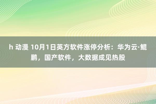 h 动漫 10月1日英方软件涨停分析：华为云·鲲鹏，国产软件，大数据成见热股