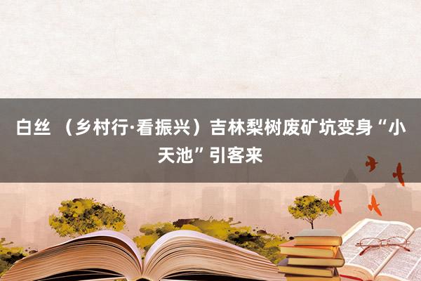 白丝 （乡村行·看振兴）吉林梨树废矿坑变身“小天池”引客来
