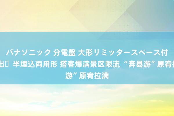 パナソニック 分電盤 大形リミッタースペース付 露出・半埋込両用形 搭客爆满景区限流 “奔县游”原宥拉满