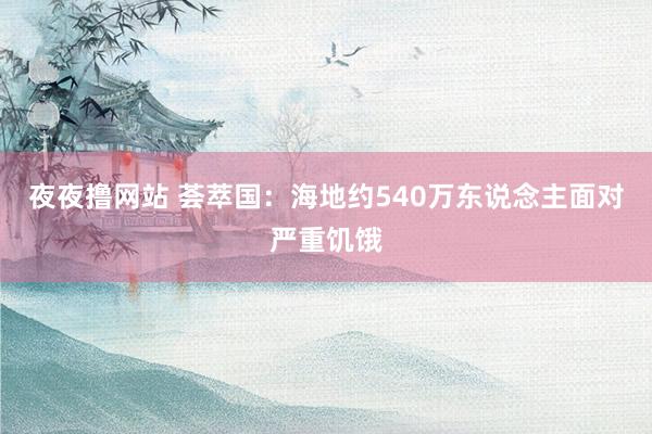 夜夜撸网站 荟萃国：海地约540万东说念主面对严重饥饿