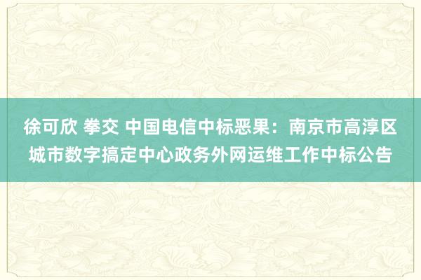 徐可欣 拳交 中国电信中标恶果：南京市高淳区城市数字搞定中心政务外网运维工作中标公告