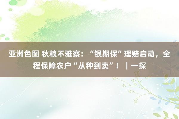 亚洲色图 秋粮不雅察：“银期保”理赔启动，全程保障农户“从种到卖”！｜一探