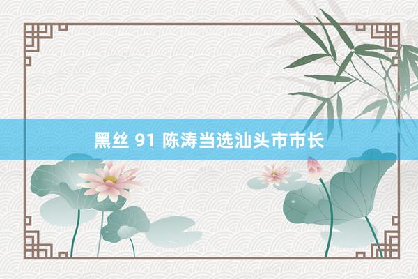 黑丝 91 陈涛当选汕头市市长