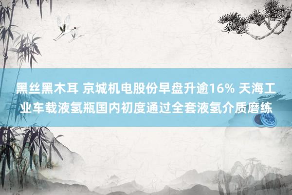 黑丝黑木耳 京城机电股份早盘升逾16% 天海工业车载液氢瓶国内初度通过全套液氢介质磨练
