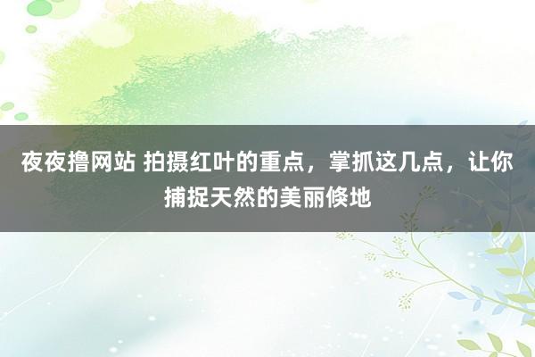 夜夜撸网站 拍摄红叶的重点，掌抓这几点，让你捕捉天然的美丽倏地