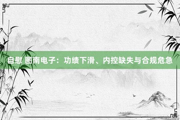 自慰 图南电子：功绩下滑、内控缺失与合规危急