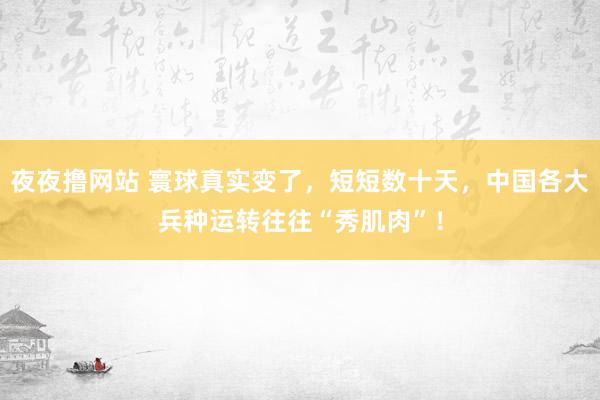 夜夜撸网站 寰球真实变了，短短数十天，中国各大兵种运转往往“秀肌肉”！