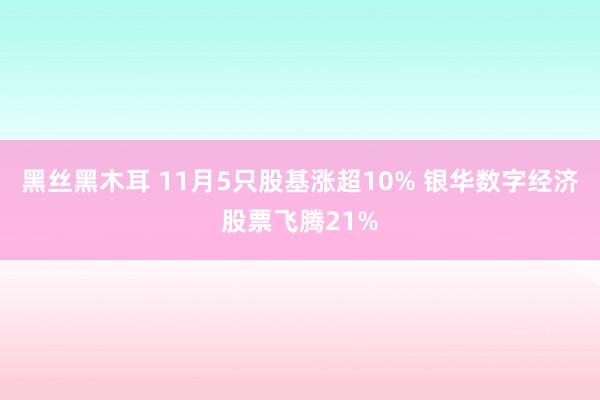 黑丝黑木耳 11月5只股基涨超10% 银华数字经济股票飞腾21%