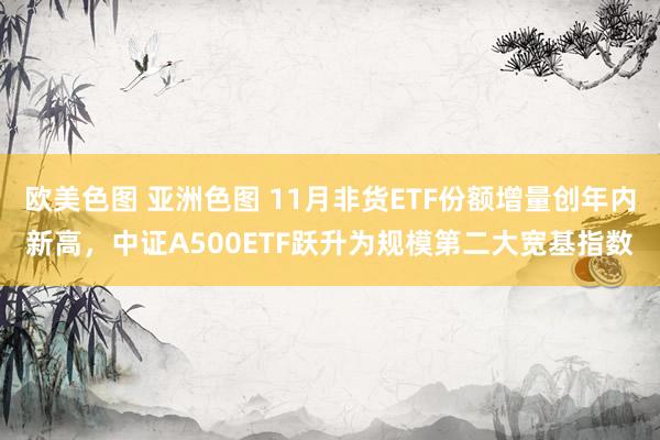 欧美色图 亚洲色图 11月非货ETF份额增量创年内新高，中证A500ETF跃升为规模第二大宽基指数