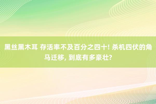 黑丝黑木耳 存活率不及百分之四十! 杀机四伏的角马迁移， 到底有多豪壮?