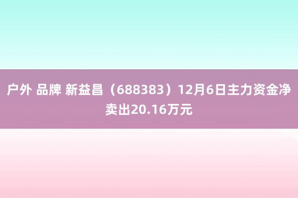 户外 品牌 新益昌（688383）12月6日主力资金净卖出20.16万元