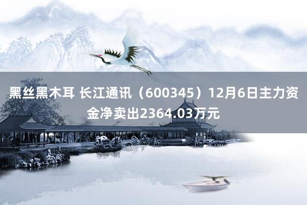 黑丝黑木耳 长江通讯（600345）12月6日主力资金净卖出2364.03万元