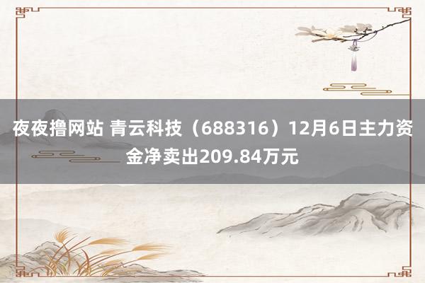 夜夜撸网站 青云科技（688316）12月6日主力资金净卖出209.84万元