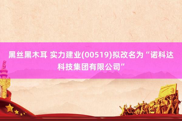 黑丝黑木耳 实力建业(00519)拟改名为“诺科达科技集团有限公司”