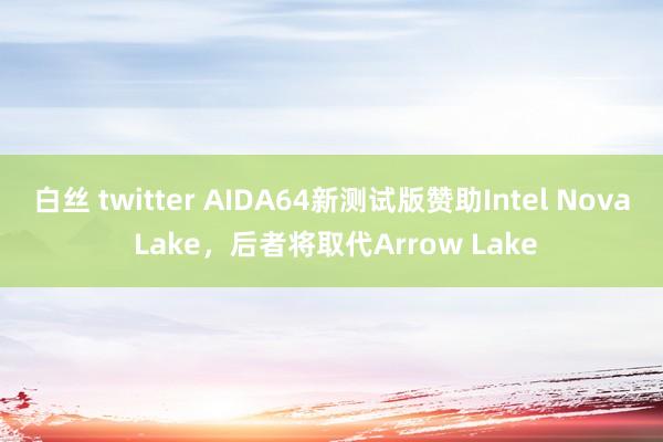 白丝 twitter AIDA64新测试版赞助Intel Nova Lake，后者将取代Arrow Lake