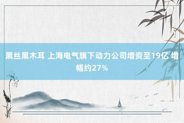 黑丝黑木耳 上海电气旗下动力公司增资至19亿 增幅约27%