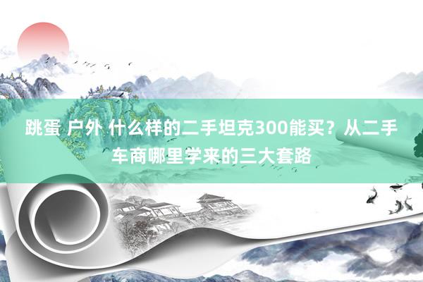 跳蛋 户外 什么样的二手坦克300能买？从二手车商哪里学来的三大套路