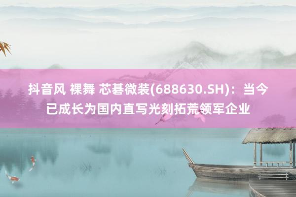 抖音风 裸舞 芯碁微装(688630.SH)：当今已成长为国内直写光刻拓荒领军企业