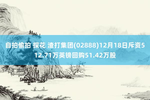 自拍偷拍 探花 渣打集团(02888)12月18日斥资512.71万英镑回购51.42万股