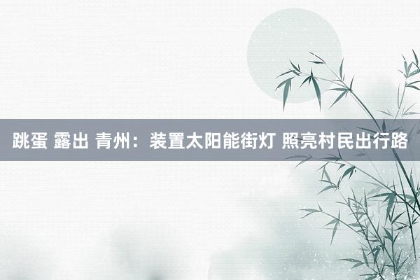 跳蛋 露出 青州：装置太阳能街灯 照亮村民出行路