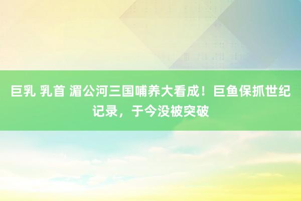 巨乳 乳首 湄公河三国哺养大看成！巨鱼保抓世纪记录，于今没被突破
