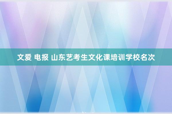文爱 电报 山东艺考生文化课培训学校名次