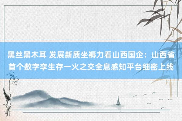 黑丝黑木耳 发展新质坐褥力看山西国企：山西省首个数字孪生存一火之交全息感知平台细密上线