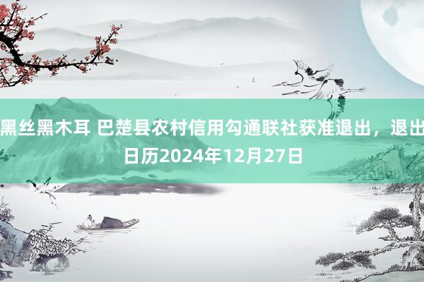 黑丝黑木耳 巴楚县农村信用勾通联社获准退出，退出日历2024年12月27日