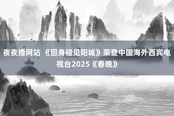夜夜撸网站 《回身碰见阳城》荣登中国海外西宾电视台2025《春晚》