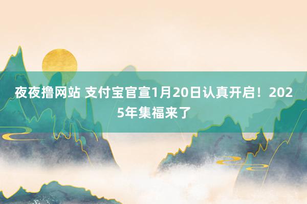 夜夜撸网站 支付宝官宣1月20日认真开启！2025年集福来了