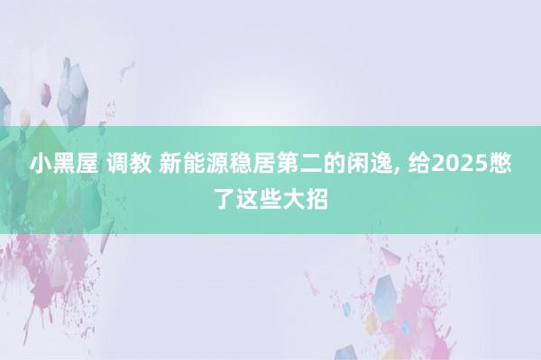 小黑屋 调教 新能源稳居第二的闲逸， 给2025憋了这些大招