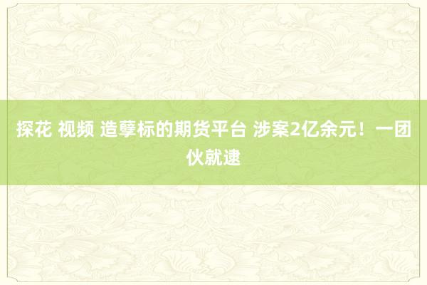 探花 视频 造孽标的期货平台 涉案2亿余元！一团伙就逮