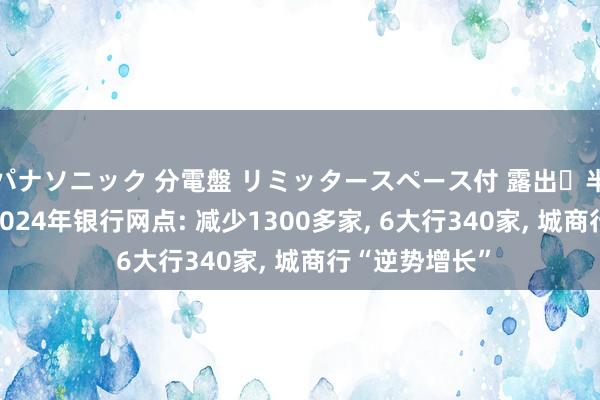 パナソニック 分電盤 リミッタースペース付 露出・半埋込両用形 2024年银行网点: 减少1300多家， 6大行340家， 城商行“逆势增长”