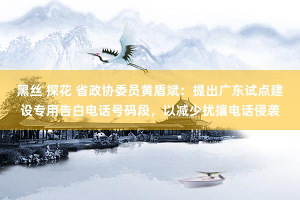 黑丝 探花 省政协委员黄盾斌：提出广东试点建设专用告白电话号码段，以减少扰攘电话侵袭