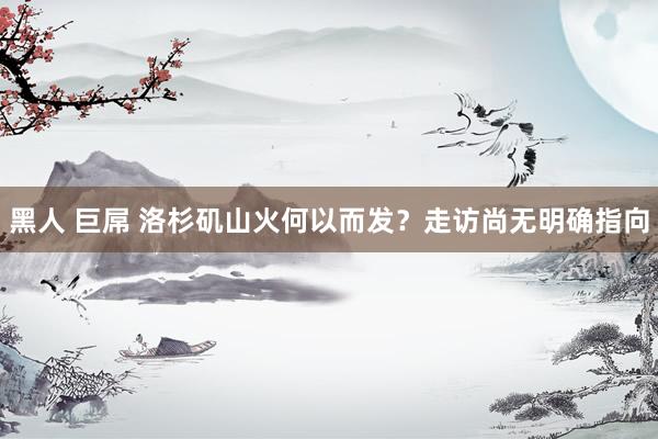 黑人 巨屌 洛杉矶山火何以而发？走访尚无明确指向
