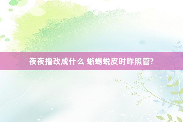 夜夜撸改成什么 蜥蜴蜕皮时咋照管?
