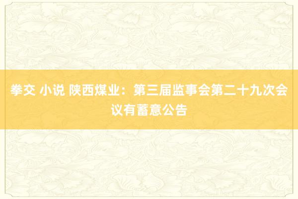 拳交 小说 陕西煤业：第三届监事会第二十九次会议有蓄意公告