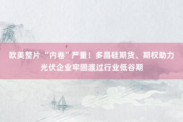 欧美整片 “内卷”严重！多晶硅期货、期权助力光伏企业牢固渡过行业低谷期