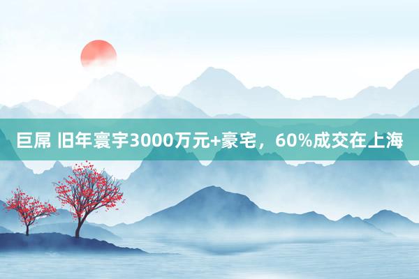 巨屌 旧年寰宇3000万元+豪宅，60%成交在上海