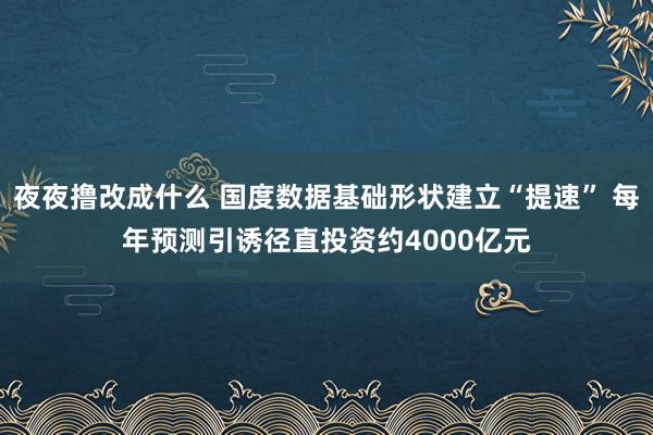 夜夜撸改成什么 国度数据基础形状建立“提速” 每年预测引诱径直投资约4000亿元
