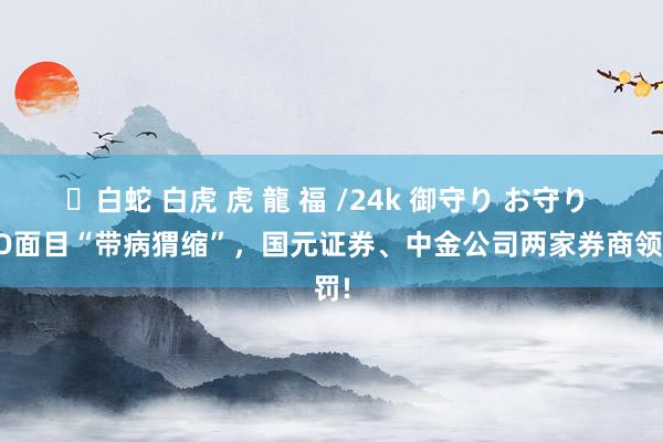 ✨白蛇 白虎 虎 龍 福 /24k 御守り お守り IPO面目“带病猬缩”，国元证券、中金公司两家券商领罚!