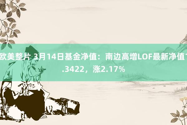 欧美整片 3月14日基金净值：南边高增LOF最新净值1.3422，涨2.17%