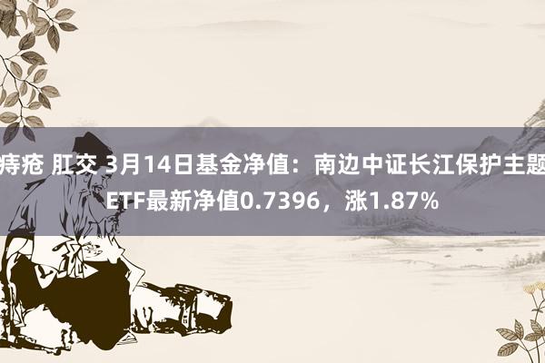 痔疮 肛交 3月14日基金净值：南边中证长江保护主题ETF最新净值0.7396，涨1.87%