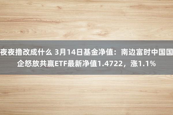 夜夜撸改成什么 3月14日基金净值：南边富时中国国企怒放共赢ETF最新净值1.4722，涨1.1%