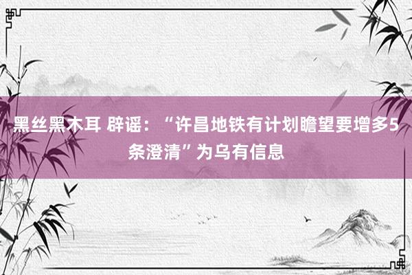 黑丝黑木耳 辟谣：“许昌地铁有计划瞻望要增多5条澄清”为乌有信息