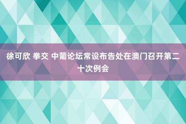 徐可欣 拳交 中葡论坛常设布告处在澳门召开第二十次例会