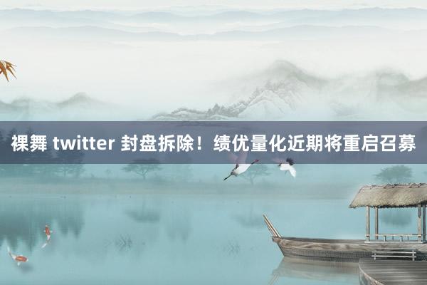 裸舞 twitter 封盘拆除！绩优量化近期将重启召募